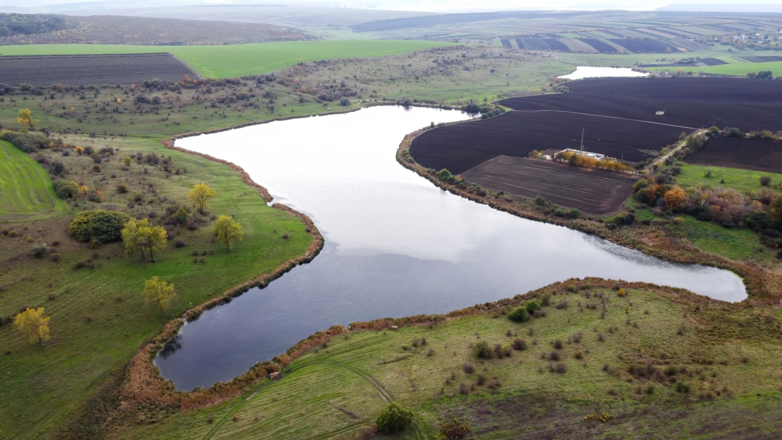 Aquifer and Groundwater