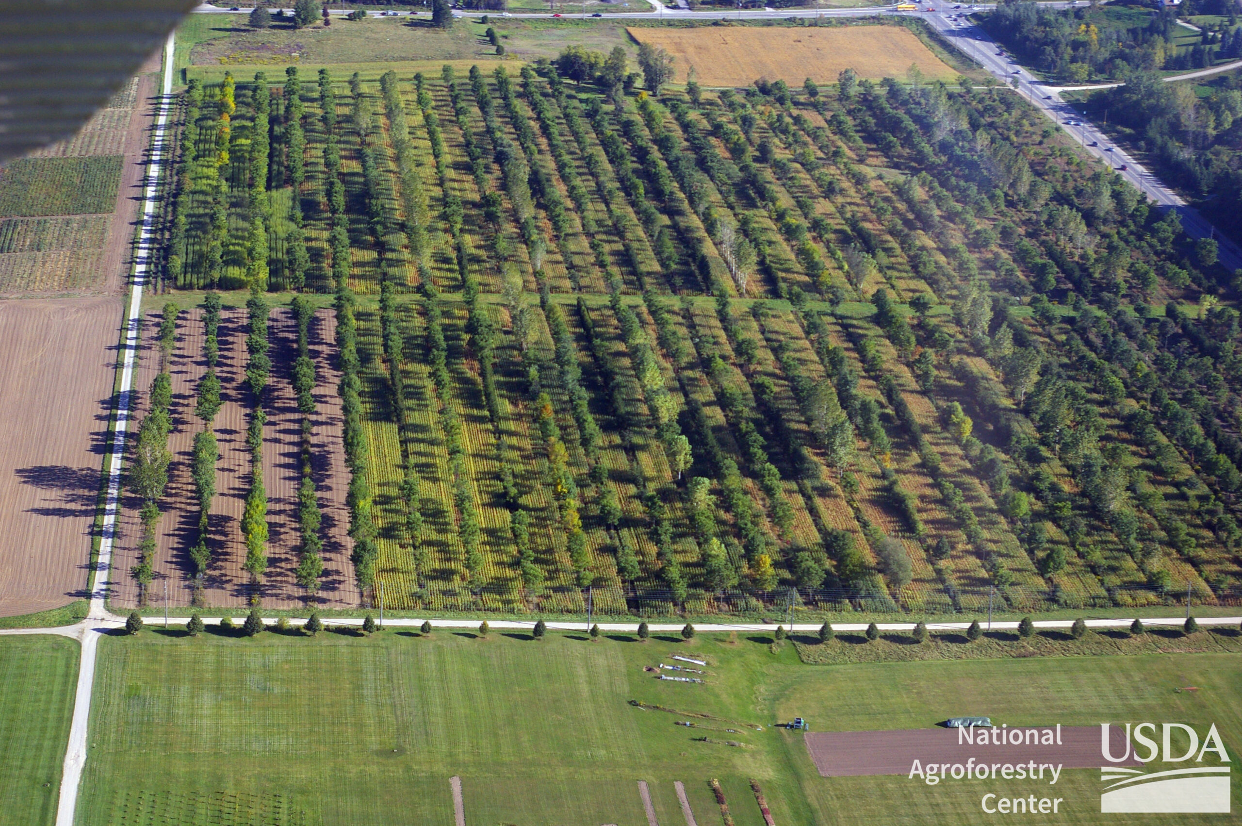 Silvoarable Agroforestry Systems: Alley Cropping research plots. Guelph, Canada.