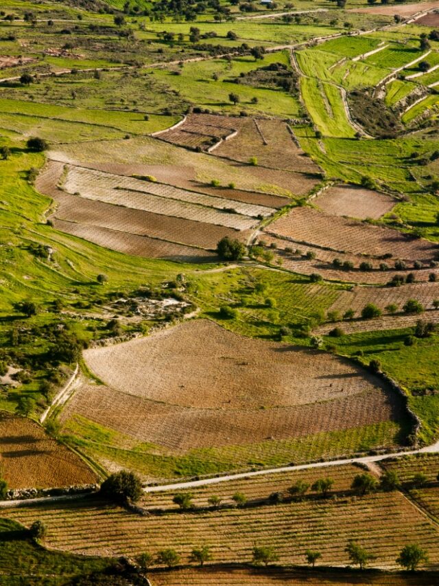 Rainwater Harvesting for Sustainable Agriculture